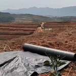 防草布厂家，园艺地布除草布批发厂家，黑色除草布价格