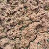 内蒙古矿山修复喷播绿化土壤粘合剂粘度高山体防滑坡