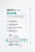 非洲猪瘟，如何应对？激活P21，科研项目转化成果，黏膜阻断病毒保生产！