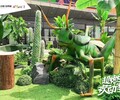 江西萍乡昆虫展出租仿真昆虫租赁恐龙展恐龙模型定制出售