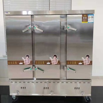 美廚燃?xì)庹艄馦C-R48美廚48盤燃?xì)庹麸堒嚿逃谜粝涫程谜麸垯C