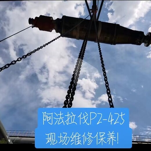 上海卢湾安德里茨D5L螺旋螺旋叶片整机维修