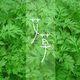 艾草2