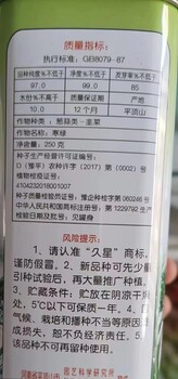新品種韭菜種子產地供應