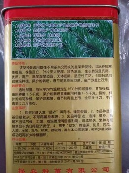 秋種香蔥種子及用量