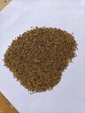 批發(fā)大麥種子怎么賣