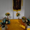 杭州寵物火化殯葬流程？