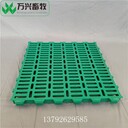 羊床羊羔產(chǎn)床養(yǎng)羊的羊床板哪里有賣的牲畜塑料羊床