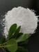湿法氢氧化钙生产厂家含量97%低铅低铁乳酸钙盐用