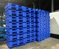 沈陽新民區長期回收塑料托盤