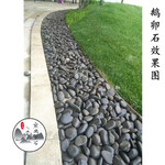 东莞黑色雨花石设计/庭院装饰园艺鹅卵石/供应3-5cm鹅卵石