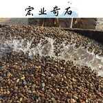 杂色鹅卵石厂家货源/广东鹅卵石一吨报价/32吨鹅卵石起批