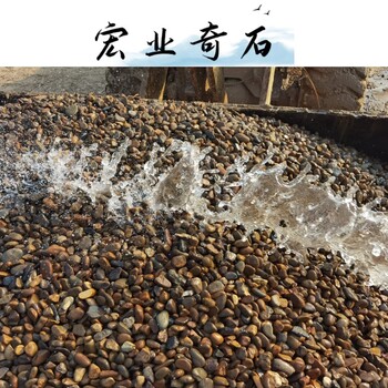 雜色鵝卵石32噸報價，后花園墻角填充石子，廣東鵝卵石廠家