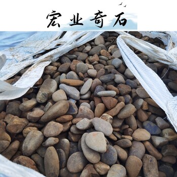 廣州噸位鵝卵石廠家/雜色鵝卵石公園鋪設(shè)/一噸鵝卵石150元