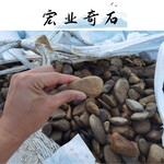 杂色鹅卵石散装批售，广州鹅卵石32吨起批，大量堆场现场铺路石