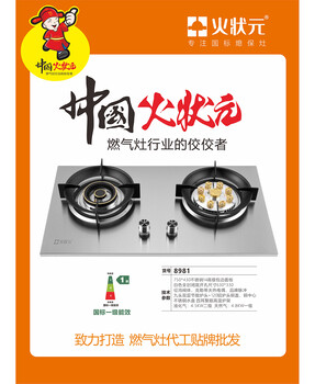 嵌入式雙爐燃氣灶火狀元匠心品質烹飪好幫手家用燃氣灶源頭工廠