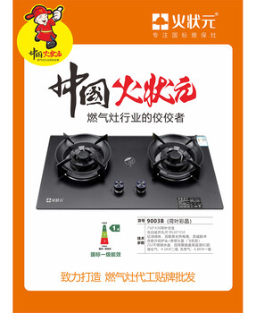 嵌入式雙爐燃氣灶火狀元匠心品質烹飪好幫手家用燃氣灶源頭工廠