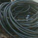 天长回收报废电缆在哪-防火电缆回收天长本地收购现款结算