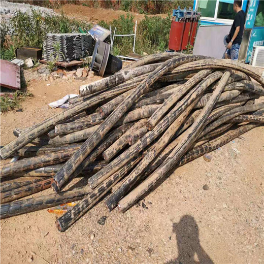 扬州江都区回收报废电缆在哪-240电缆线回收扬州江都区本地收购现款结算