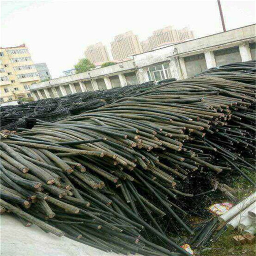 武汉哪里回收电缆线-武汉铜芯电缆回收本地大型废品站