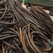 池州回收电线电缆在哪-铜芯电缆回收池州本地公司在线电话洽谈