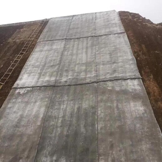 津南区10毫米混凝土固化毯价格水泥毯