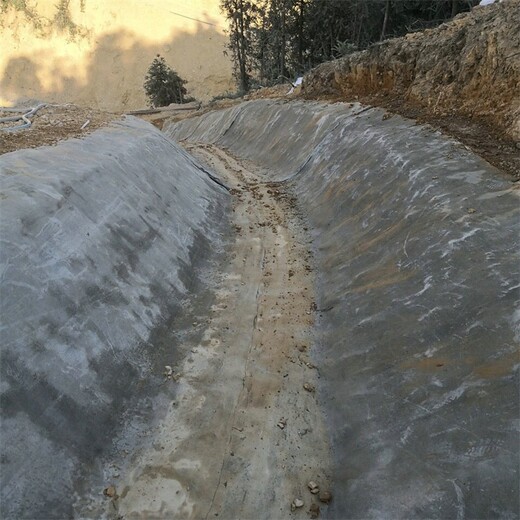 宁洱哈尼族彝族自治县8公斤护坡混凝土固化毯批发