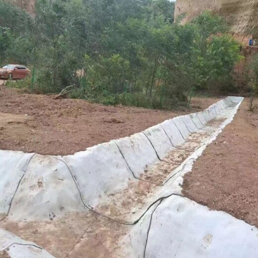 6公斤重水泥毯浇水固化生产厂家