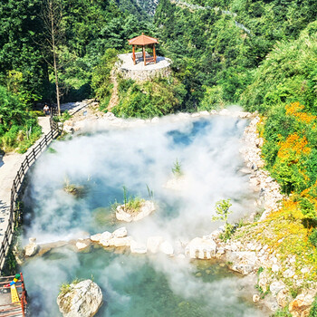 重慶地產(chǎn)售樓部.霧森.冷霧.霧噴.園林景觀造霧廠家—水霧環(huán)保
