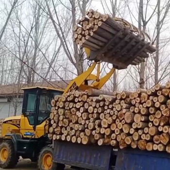 装载机抓木头爪子铲车光伏叉子铲车改托叉托盘抓头抓铁装卸车