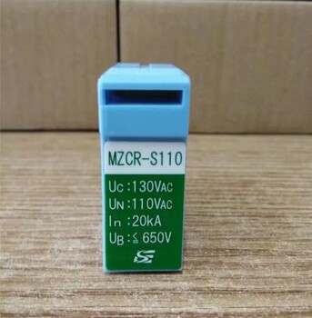 MZCR-P24,MZCR-S220,MZCR-S110,MZCR-S60防雷单元