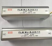 BVBFLMWJ-VD15、BVBSFLM-120、SFLM-H防雷元件