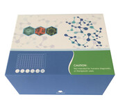 BS-2521-小鼠组织多肽抗原（TPA）ELISA检测试剂盒
