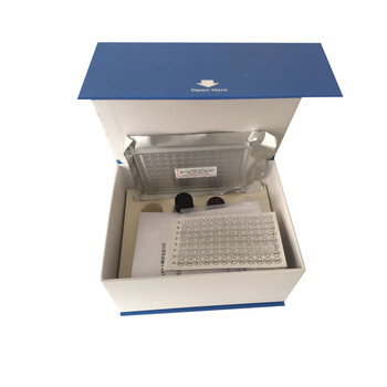 大鼠干细胞因子受体试剂盒(SCFR)ELISA检测试剂盒