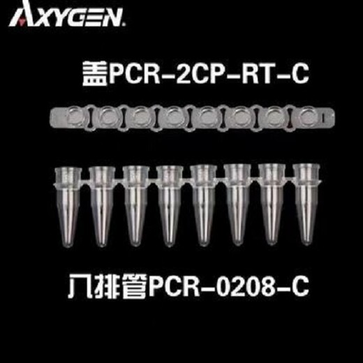 国产八联管0.1ml8联管0.2MLPCR管（含盖）天津本生