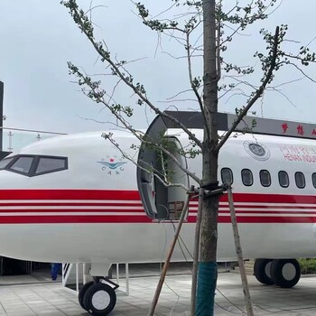 贵州铜仁客机模型，737客机模型出售，飞机模型定制厂家