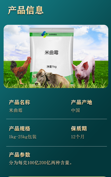 飼料發(fā)酵米曲霉米曲霉真菌微生物米曲霉添加米曲霉