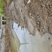 南京河道底泥原位生物底质改良环境修复剂