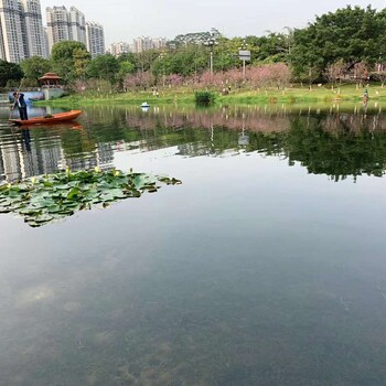 长春河道生态修复微生物改善水质修复剂