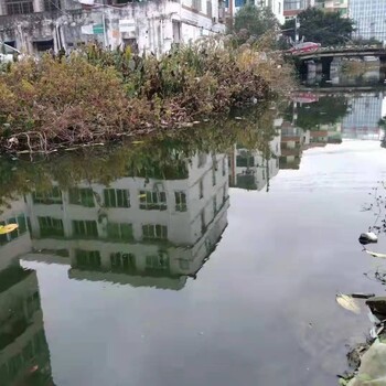 江西河湖鱼塘水体净化无机矿物微生物絮凝剂销售