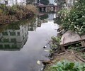 廣州底泥生物固化工程微生物環境修復劑