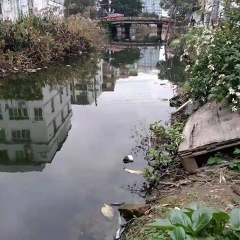 潍坊水环境修复工程河道复合微生物