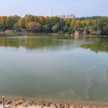 江西河湖鱼塘水体净化无机矿物微生物絮凝剂销售