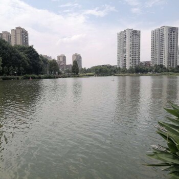 北京城市農村黑臭綠藻水體凈化復合礦物凝集劑