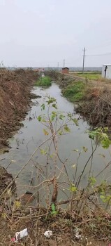 重庆水环境治理河湖湿地底泥生物固化技术产品