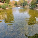 天津河湖水質(zhì)處理微生物環(huán)境修復(fù)EM菌批發(fā)