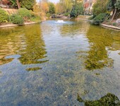 沧州河湖湿地水环境治理技术微生物EM菌