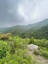 海南鹽堿土壤微生物環(huán)境修復(fù)團(tuán)粒結(jié)構(gòu)改良劑