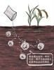 北京農田污染修復工程土壤團粒結構改良劑
