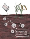 四川礦山污染土壤修復工程重金屬鈍化劑